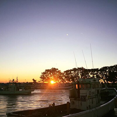 「2021年11月上旬発送」【産地直送】駿河湾のお恵み『極上品6種豪華セット』　