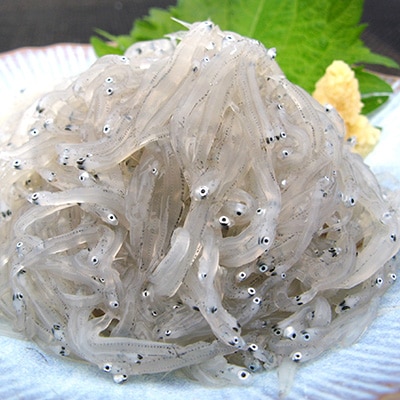 【明治神宮・奉献品】駿河湾の恵み『極上品4種豪華セット』【丸三水産】　