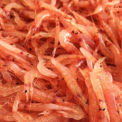 「2020年2月下旬発送」【産地直送】駿河湾のお恵み『極上品4種豪華セット』　