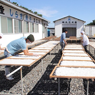 【産地直送】駿河湾のお恵み 『極上釜あげしらす・桜えびセットL』