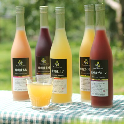 信州産くだもの果汁100%ジュース500ml×5本セット