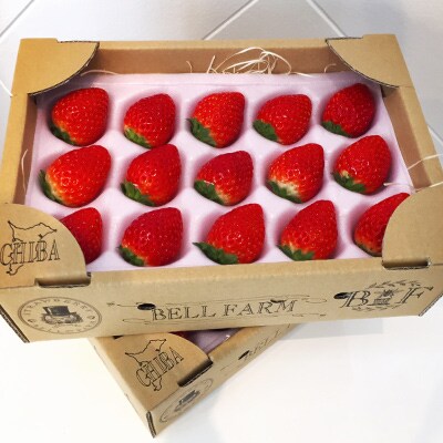 産地直送!BELL FARMの美味しいイチゴ　2箱【24～30粒】