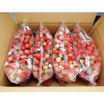 信州あづみ野産　冷凍 夏秋いちご　(600g×4袋)