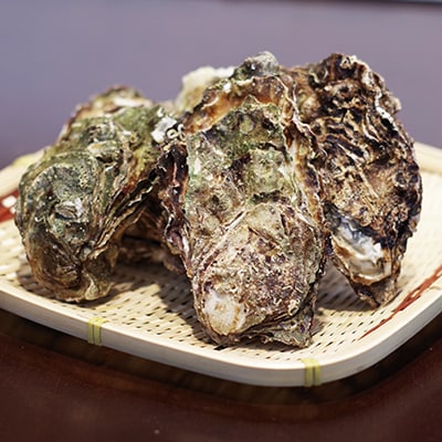 天橋立 天然殻付きマガキ2kg(約20～25個)【加熱用】