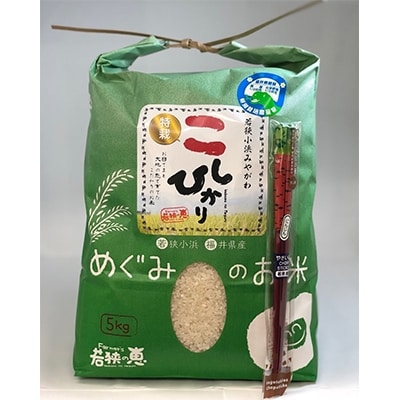 新幹線で福井が福井米があつい 玄米10kg 5年産コシヒカリ 特栽