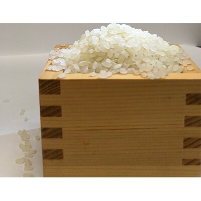 令和6年産　福井県産特別栽培米コシヒカリ　白米5kg+野菜箸1膳セット