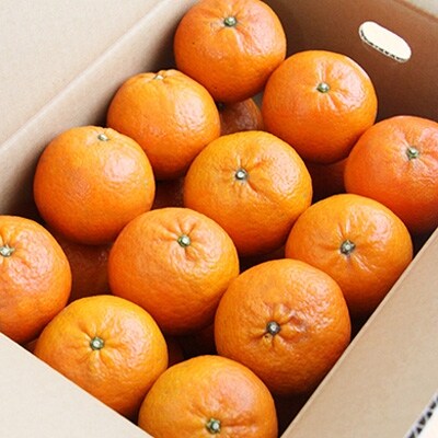 奄美大島産 完熟たんかん【秀品5kg】