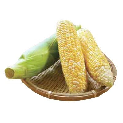 地元富良野産 とうもろこし 2Lサイズ18本セット