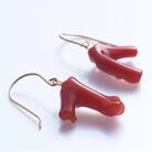 赤珊瑚枝ピアス　フックタイプ(チタン)お守り袋付