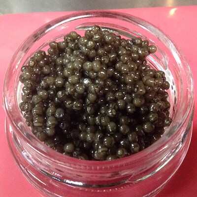キャビア・チョウザメ魚肉缶詰のセット