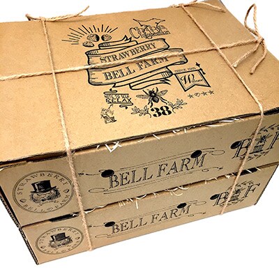 産地直送!BELL FARMの美味しいイチゴ　2箱【24～30粒】