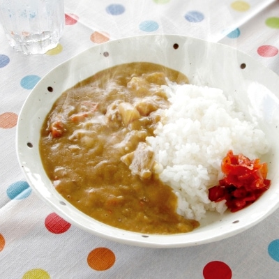 天理カレー　あまくち5個&辛口5個セット