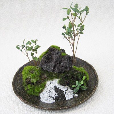 和モダン　創作　苔BONSAI　(大)〈丸皿・古瀬戸〉