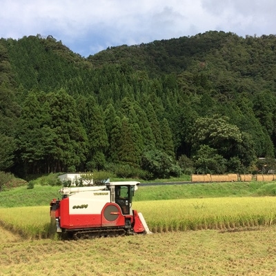 【平成31年1月発送分】1日50個限定 平成30年産白米15kg あきさかり 福井県産 若狭の恵米