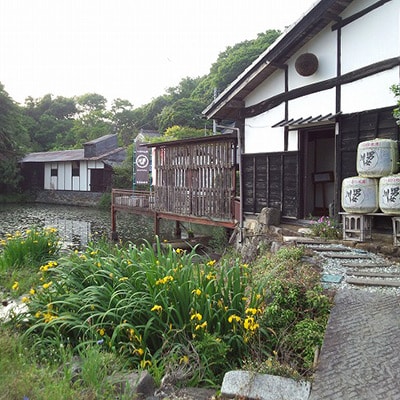つくばの地酒「男女川・すてら」純米大吟醸セット【離島・沖縄配送不可】