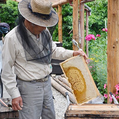 高知のお山の蜂蜜「百花ハチミツ」2本セット