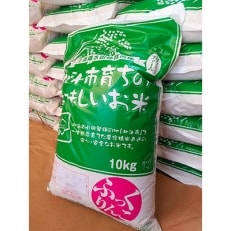 北海道産 特Aランク ふっくりんこ10kg【玄米】