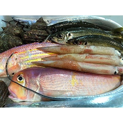 竹中水産の「豪華鮮魚ボックス約4キロ」!【H22-234】