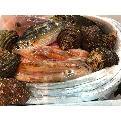 竹中水産の「豪華鮮魚ボックス約4キロ」!【H22-234】