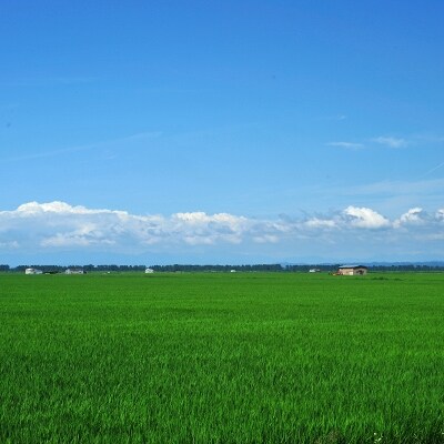 大潟村産あきたこまち特別栽培玄米5kg+やわらか有機玄米1kg 大潟村カントリーエレベーター公社