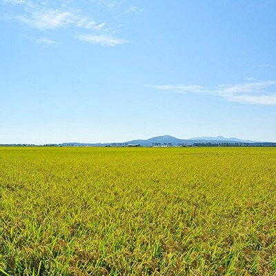 大潟村産あきたこまち特別栽培玄米5kg+やわらか有機玄米1kg 大潟村カントリーエレベーター公社