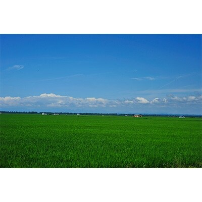 あきたこまち無洗米精米5kg+特別栽培無洗米精米5kg