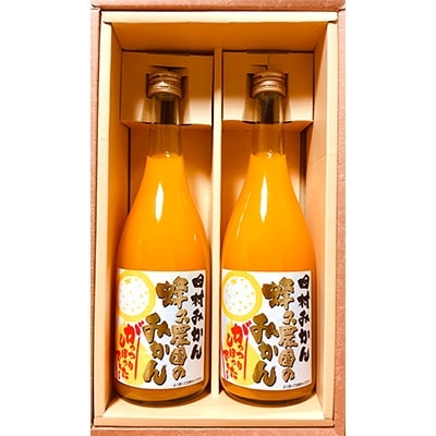 田村みかん　蜂久農園のみかんがっつりしぼったでぇ　みかんジュース(720ml×2)