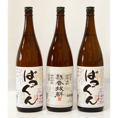 米しょうちゅう晩酌セット