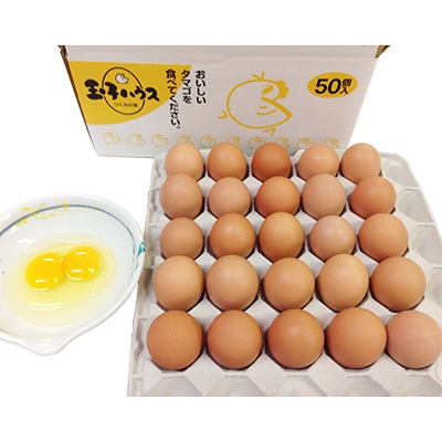 幻の卵 つくもの里 彩黄卵 1箱(50個入)