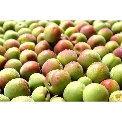 大人の贅沢果汁セット(梅果汁ベースの4種の味わいのギフトセット)