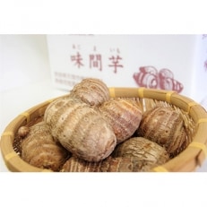 味間芋　3kg 