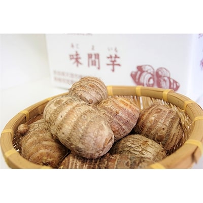味間芋　3kg 