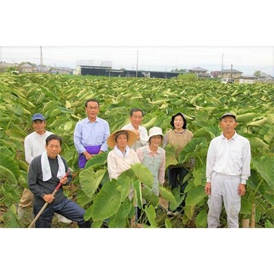 味間芋　3kg 