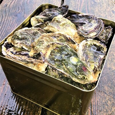 能登牡蠣 殻付牡蠣半缶/約5㎏(約40~50個)専用ナイフ、片手用軍手付 ※加熱用