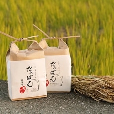 だっぱん米 龍馬脱藩の道がある村でとれたお米 にこまる(精米2kg×2袋)