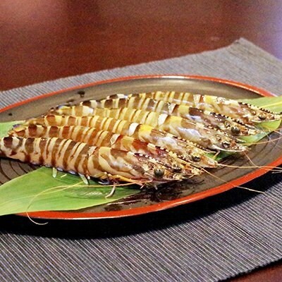 【数量限定】冷凍クルマエビ　600g(300g×2パック)