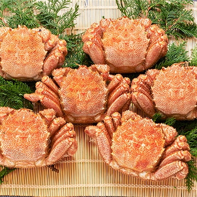 前浜茹で毛ガニ約500g×6尾 