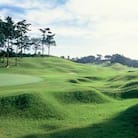【利根ゴルフ倶楽部】平日限定　1組　4名様　1Rプレー券