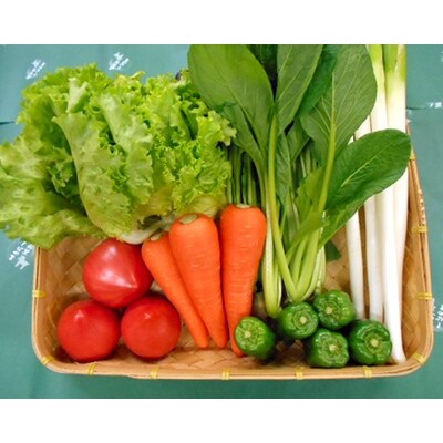 【空の駅 風和里しばやま】旬野菜の詰め合わせ「大地の恵みセット」7~8種