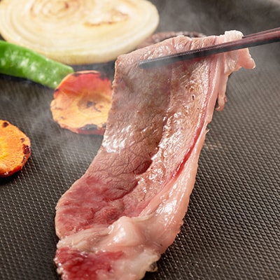 相州牛の詰め合わせセットB