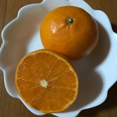 豊農園　せとか家庭用5kg