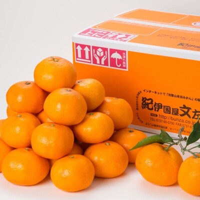 ブランド有田みかん【L】秀品10kg/産地直送/薄皮で甘い美味しい和歌山県産/紀伊国屋文左衛門本舗