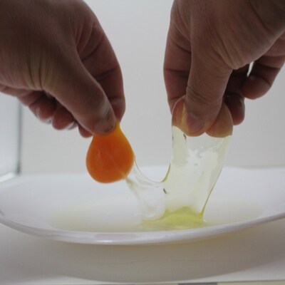小谷養鶏場のたまご 120個