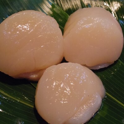 【網走前浜産】 無添加ホタテ貝柱 1.5kg(300gパック×5)