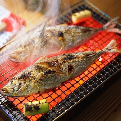 程よい塩加減 アジとイワシ干物セットa お礼品詳細 ふるさと納税なら さとふる