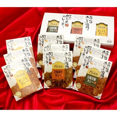 ≪宮崎空港オリジナル≫ ガンジスカレー・宮崎和牛カレー・宮崎黒豚カレー 3種類×3個 合計9個セット