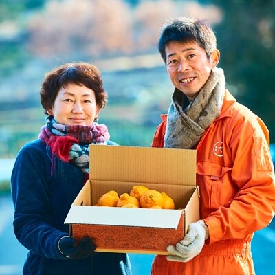 ぎょくだんダダの不知火　5kg(L-2Lサイズ・18玉～25玉)