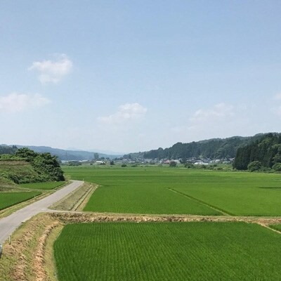 【青森ごのへ産】味に自信 サンふじ約10kg