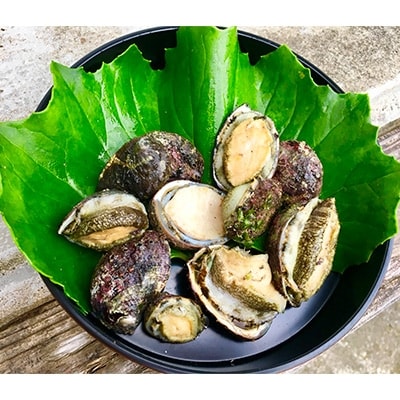 屋久島産　加熱用「いそもん」500g【海水で冷凍】