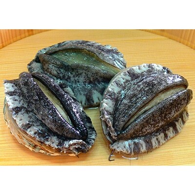 やわコリ食感紀州の蝦夷アワビ 【5-6個入】
